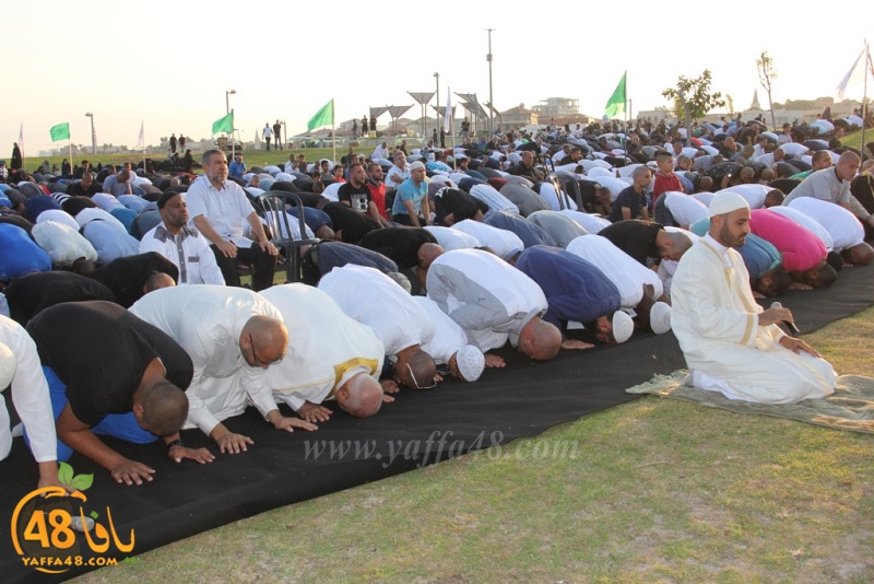 salah 3ed montahzah3 (97).JPG